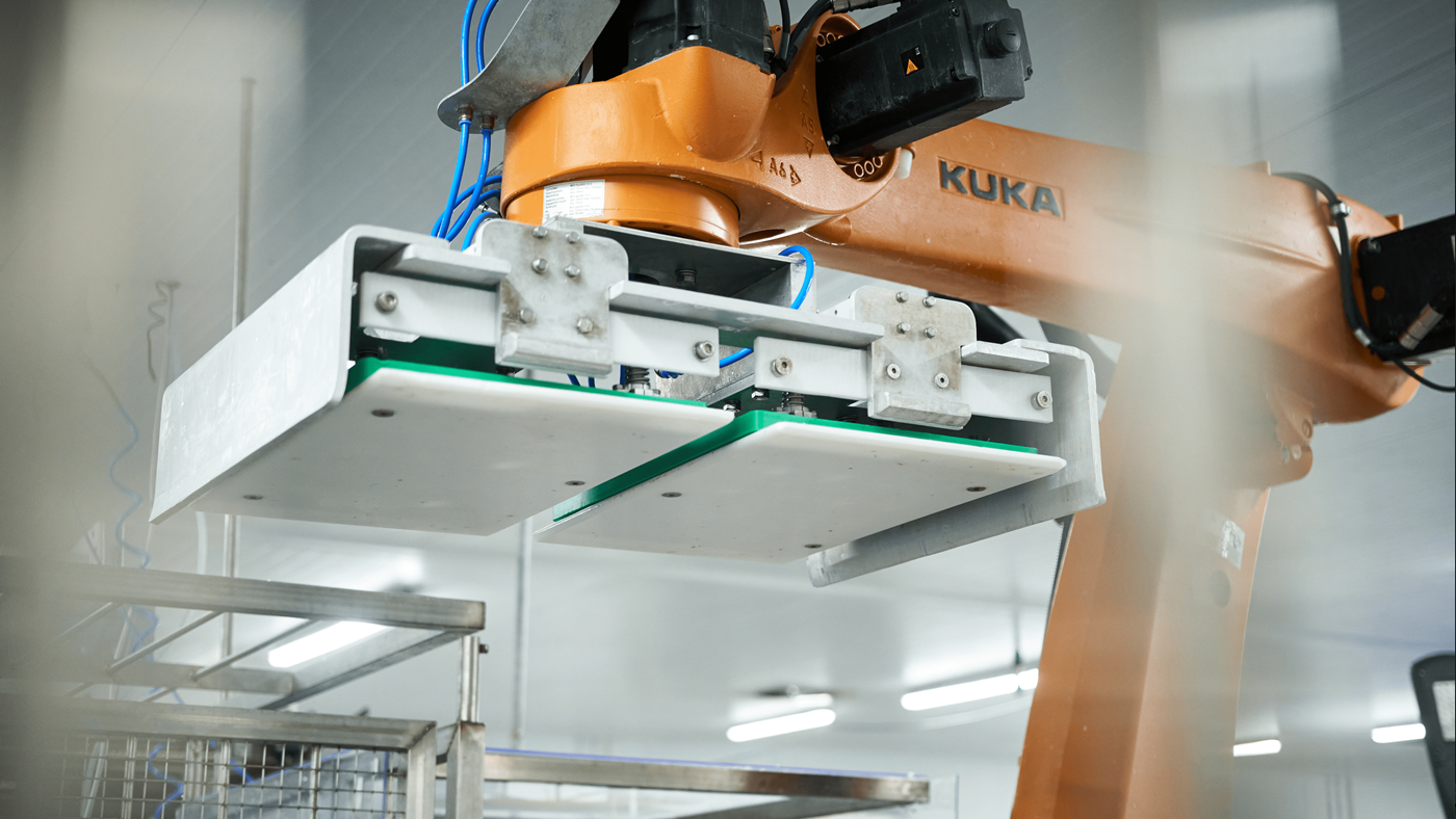 End-of-Line-Automatisierung in der Fischverarbeitung mit optimiertem Robotergreifer