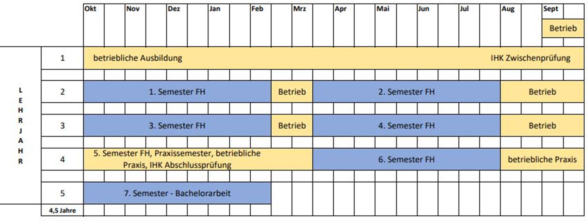 Bildliche Darstellung des Verlaufs eines Verbundstudiums